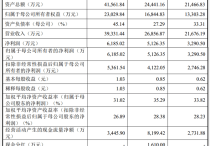 华菱电子闯关创业板无实控人，员工持股平台控股34%为第一大股东