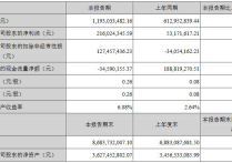 一季报亮点多多，这些公司净利高增，消费电子龙头营收创新高