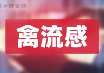 四点半观市 | 机构：全球股票市场有望在2026年延续积极趋势